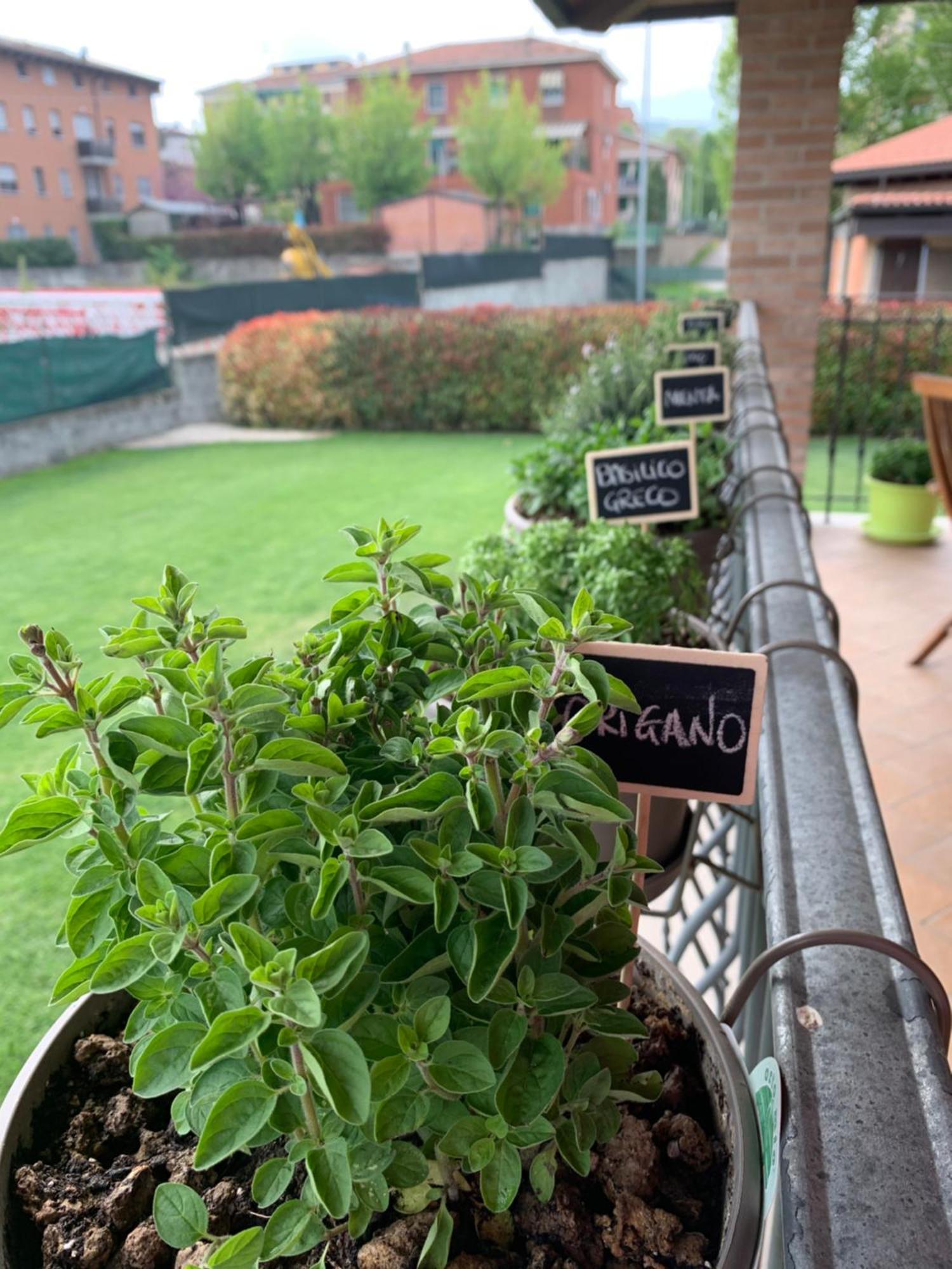 Appartamento Con Giardino Pontecchio Marconi ภายนอก รูปภาพ